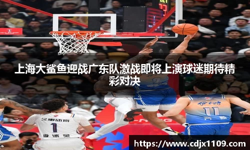 上海大鲨鱼迎战广东队激战即将上演球迷期待精彩对决