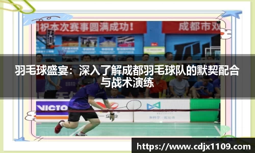 羽毛球盛宴：深入了解成都羽毛球队的默契配合与战术演练
