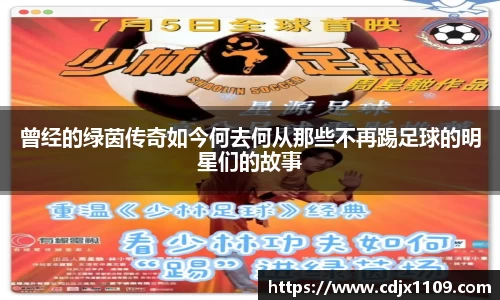 曾经的绿茵传奇如今何去何从那些不再踢足球的明星们的故事