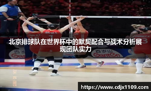 北京排球队在世界杯中的默契配合与战术分析展现团队实力